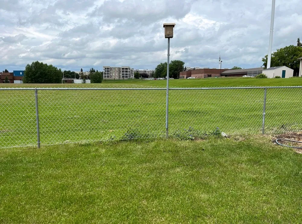 Reliable yard maintenance in Boston, MA - Mattapan Lawn Services