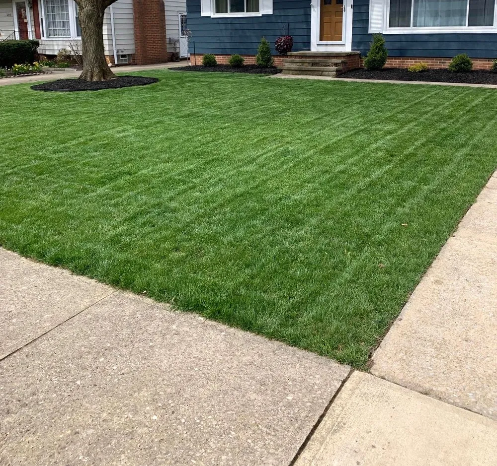 Trusted yard cleanup service for homes across Boston, MA - Mattapan Lawn Services