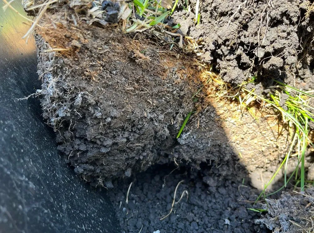 Local landscape design with custom design across Boston, MA - Mattapan Lawn Services