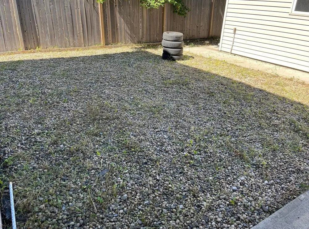 Local lawn care service in Boston, MA by Mattapan Lawn Services