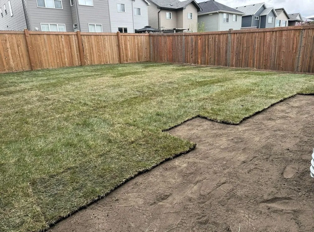 Expert landscape design with custom design in Boston, MA by Mattapan Lawn Services