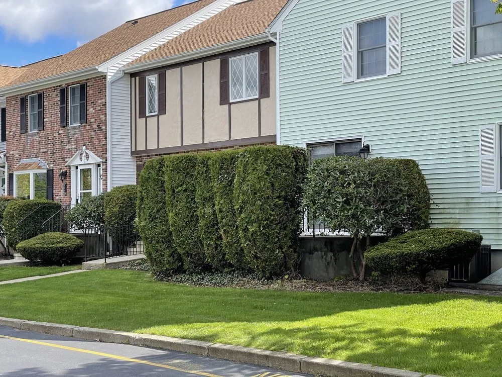 Professional landscaping services in Milford, MA - Matteo