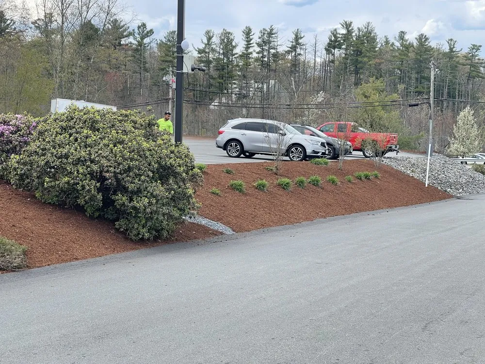 Custom yard cleanup service in Milford, MA by Matteo