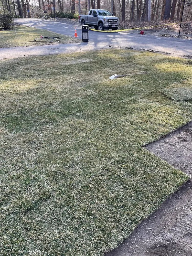 Top-rated landscape design for beautiful yards in Milford, MA by Matteo