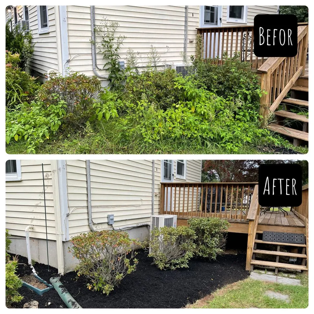Affordable yard cleanup service experts serving Milford, MA - Matteo