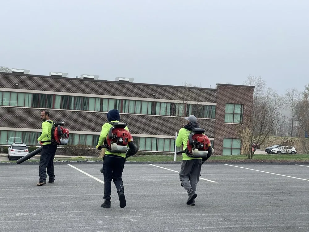 Professional landscaping services in Milford, MA - Matteo