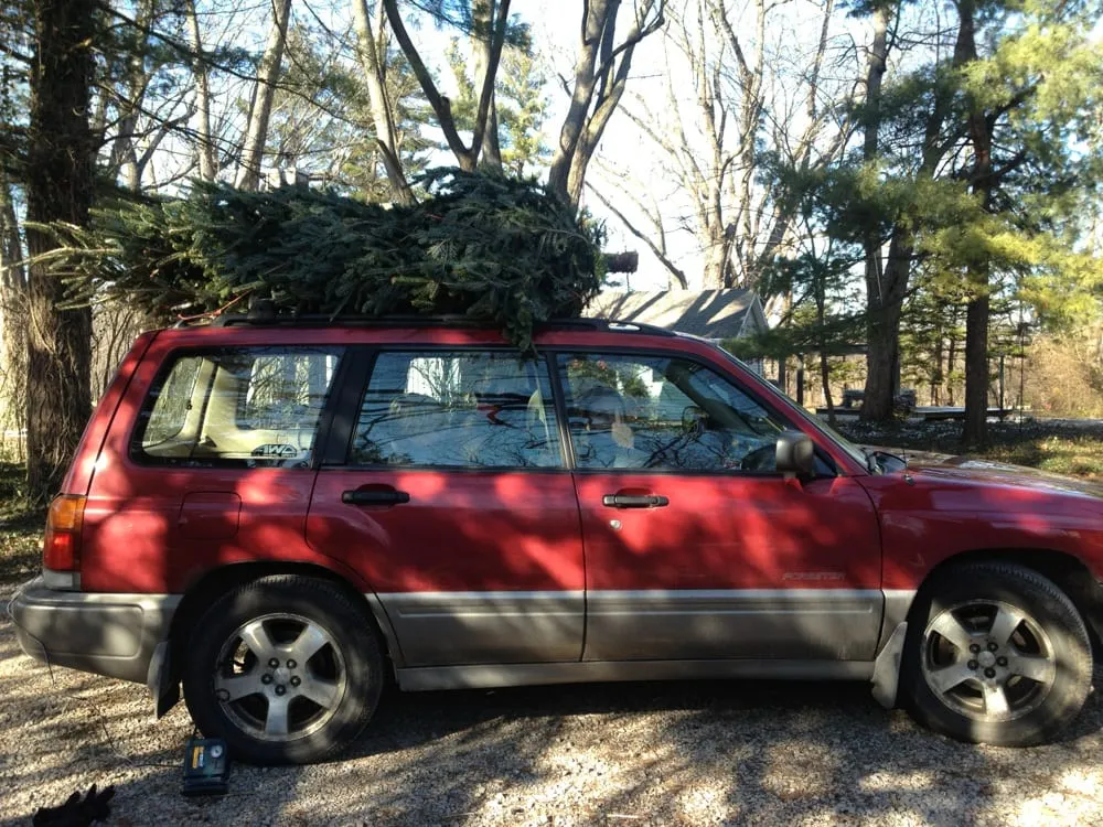 Top-rated garden landscaping in Lafayette, IN - Mattern's Pine Ridge Nursery