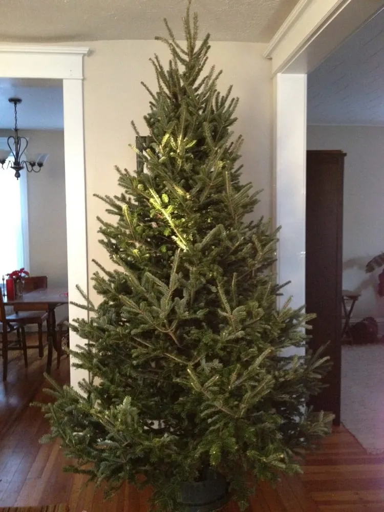 Reliable outdoor landscaping for residential properties across Lafayette, IN - Mattern's Pine Ridge Nursery