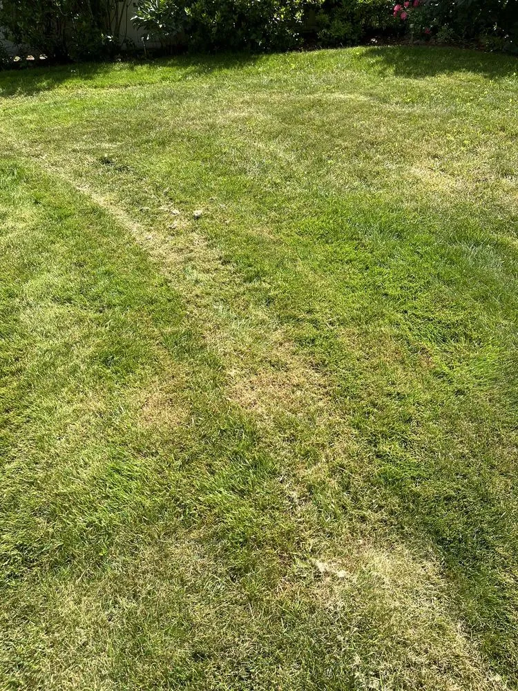 Professional residential landscaping for residential properties in Salem, NH by Matthes Landscaping