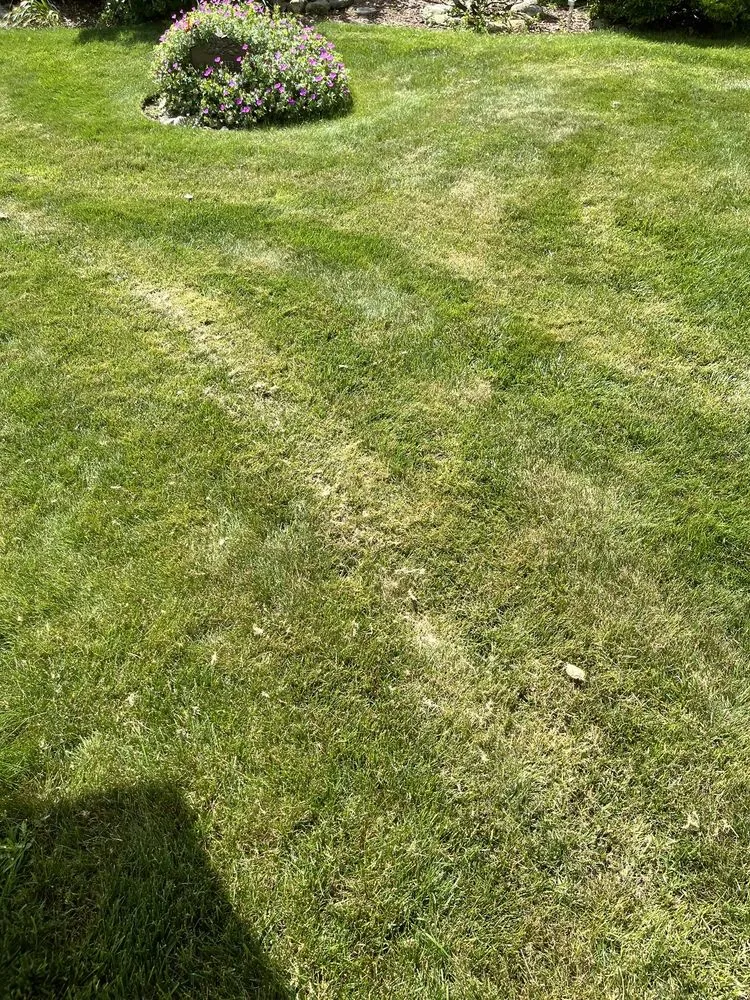 Affordable yard cleanup service experts serving Salem, NH - Matthes Landscaping