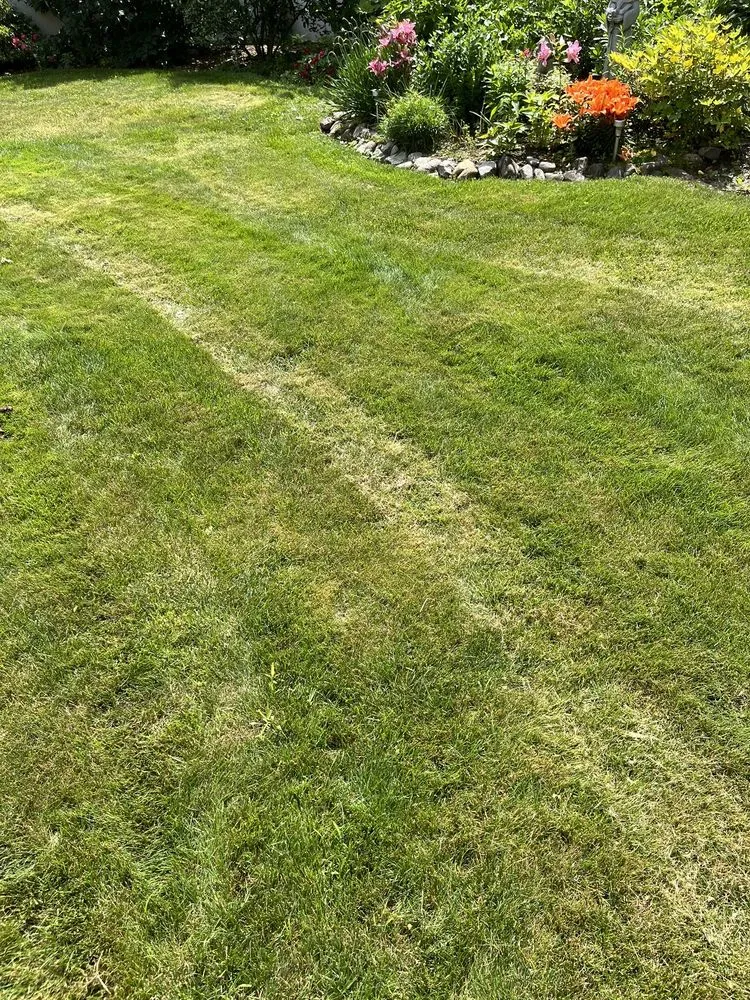Expert lawn care service in Salem, NH by Matthes Landscaping