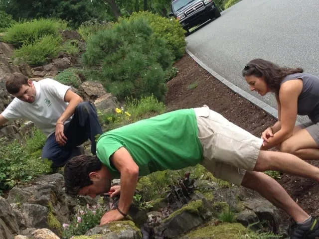 Affordable yard cleanup service for homes across Port Townsend, WA - Matthew Berberich Horticulture