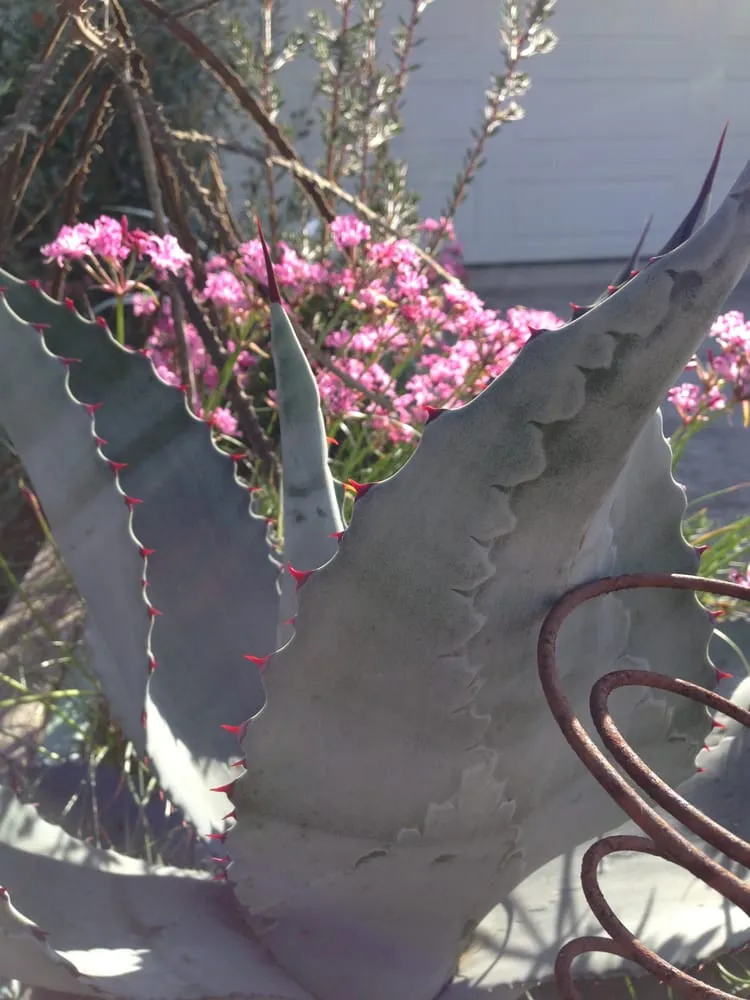 Local landscape design with custom design across Port Townsend, WA - Matthew Berberich Horticulture