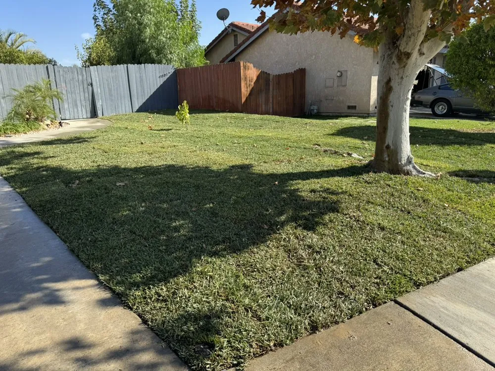 Professional outdoor landscaping near you in Riverside, CA by Matthew Landscaping & Tree Services