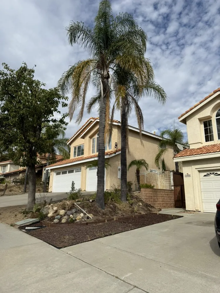 Affordable lawn care service for year-round maintenance across Riverside, CA - Matthew Landscaping & Tree Services