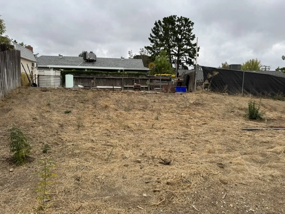 Trusted yard maintenance for homes across Riverside, CA - Matthew Landscaping & Tree Services