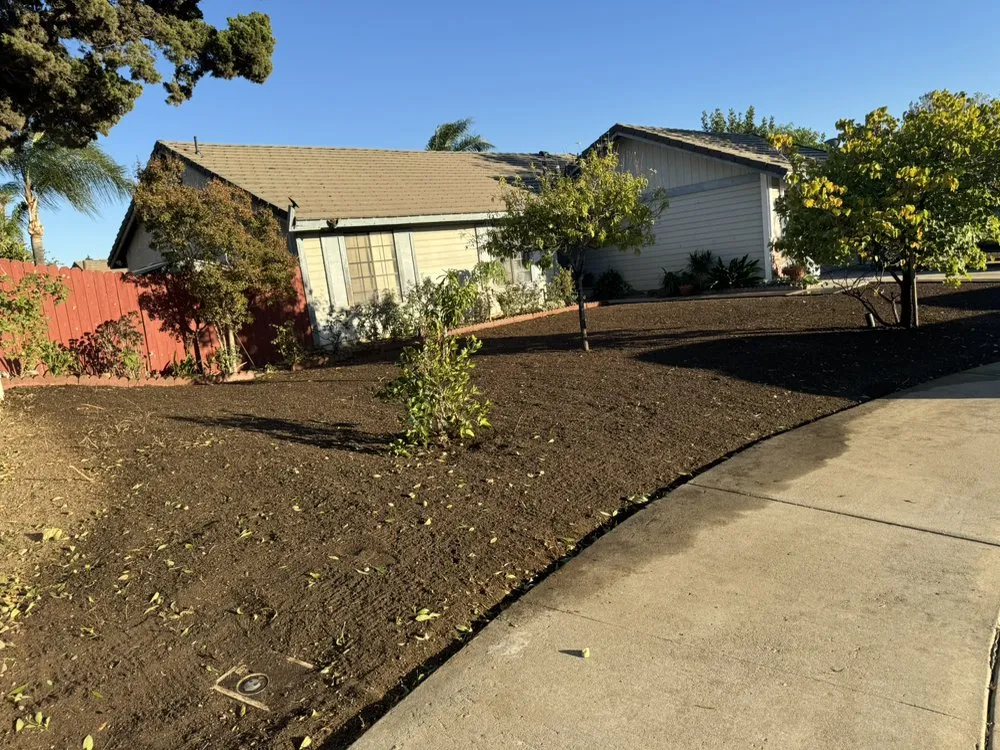 Trusted yard cleanup service for homes in Riverside, CA by Matthew Landscaping & Tree Services