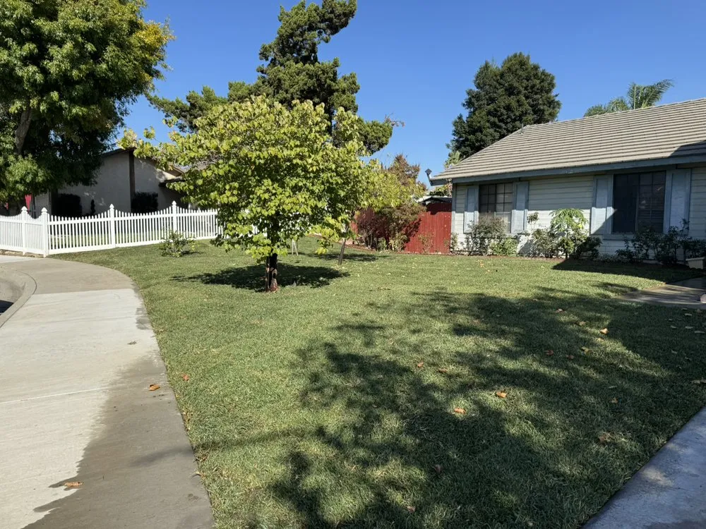 Custom outdoor landscaping experts serving Riverside, CA - Matthew Landscaping & Tree Services