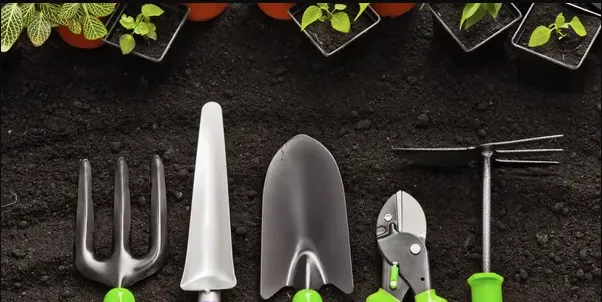 Professional yard cleanup service in Cocoa, FL by Matthew Landscaping and Pavers