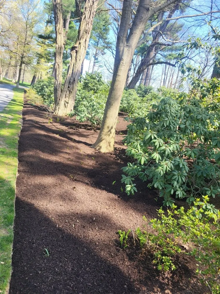 Reliable lawn care service in Kingston, NY by Matthew Landscaping