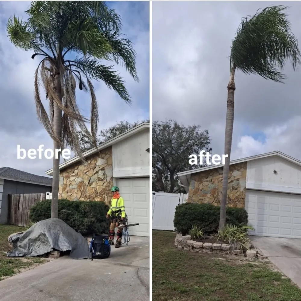 Top-rated lawn care service in Plant City, FL by Matthew Landscaping