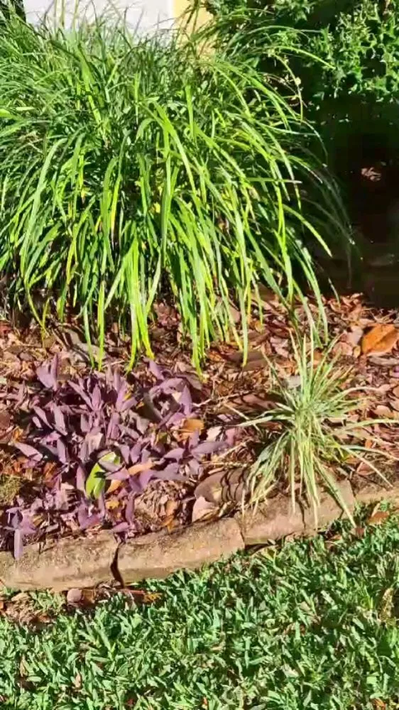 Top-rated garden landscaping in Plant City, FL - Matthew Landscaping