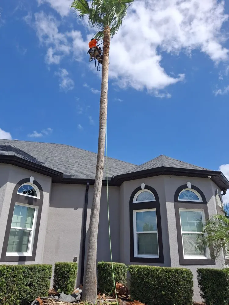 Professional outdoor landscaping in Plant City, FL by Matthew Landscaping