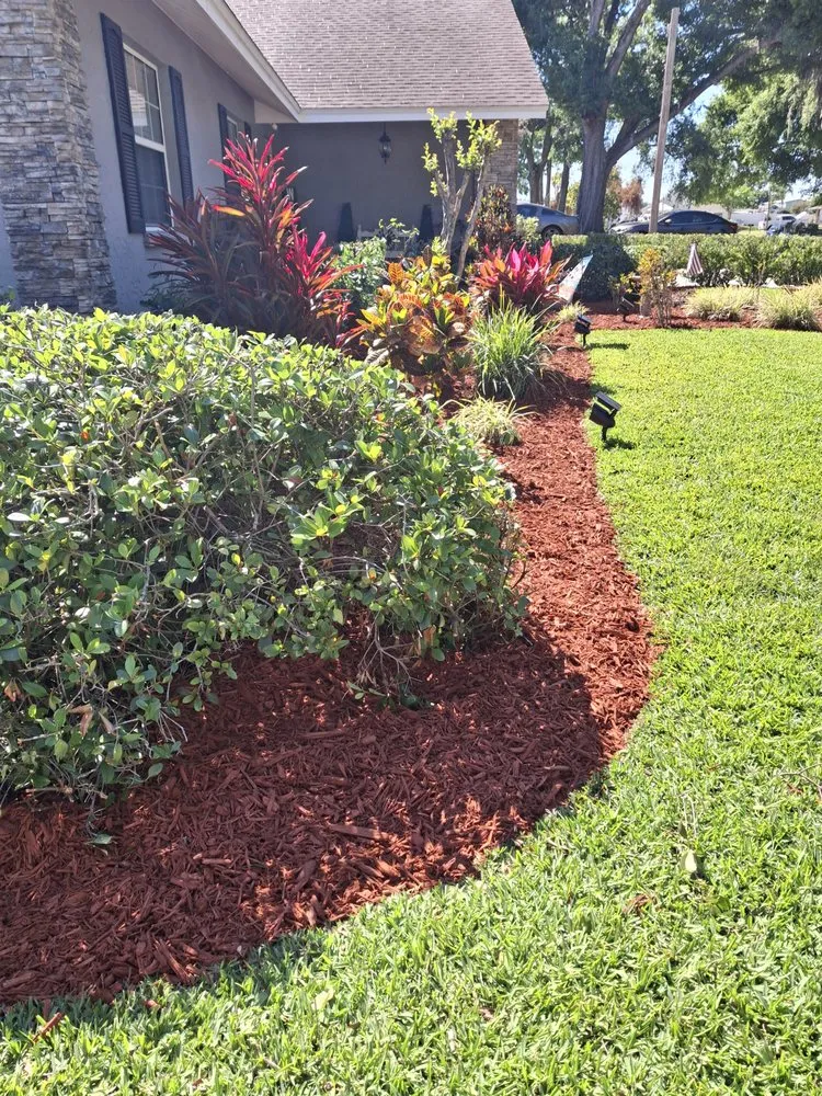 Top-rated outdoor landscaping in Plant City, FL - Matthew Landscaping