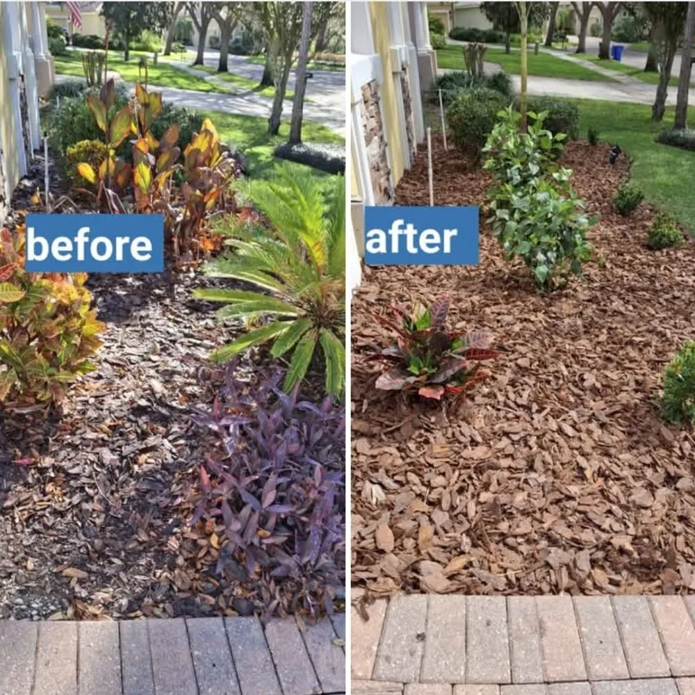 Reliable outdoor landscaping for residential properties in Plant City, FL by Matthew Landscaping