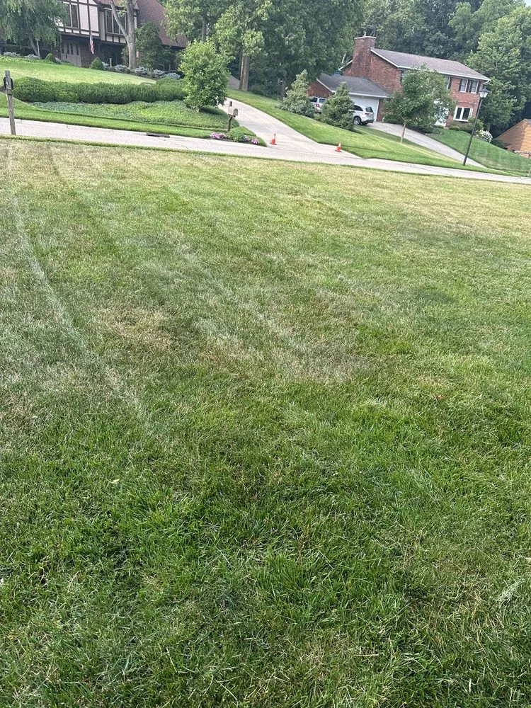 Top-rated landscape design in Fairfield, OH - Matthew Lawn Care