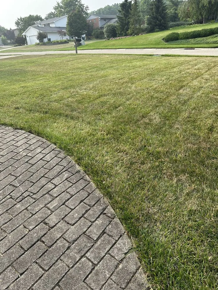 Top-rated lawn care service in Fairfield, OH by Matthew Lawn Care