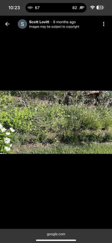 Expert landscape design for homes across New Orleans, LA - Matthew Ponseti Landscaping