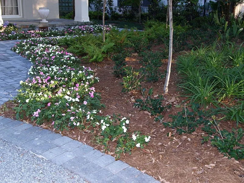 Reliable yard maintenance near you in New Orleans, LA by Matthew Ponseti Landscaping