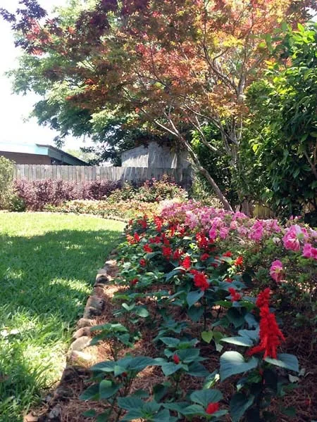 Affordable yard cleanup service experts serving New Orleans, LA - Matthew Ponseti Landscaping