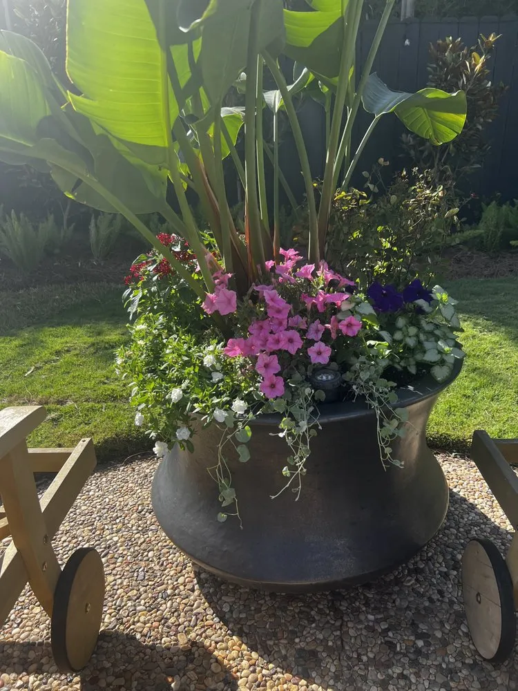 Expert outdoor landscaping near you in New Orleans, LA by Matthew Ponseti Landscaping