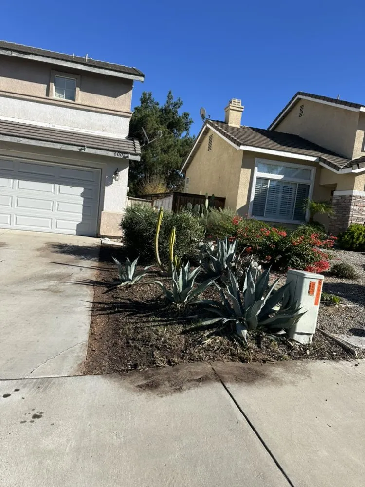 Affordable yard cleanup service in Riverside, CA - Matthew Tree Service