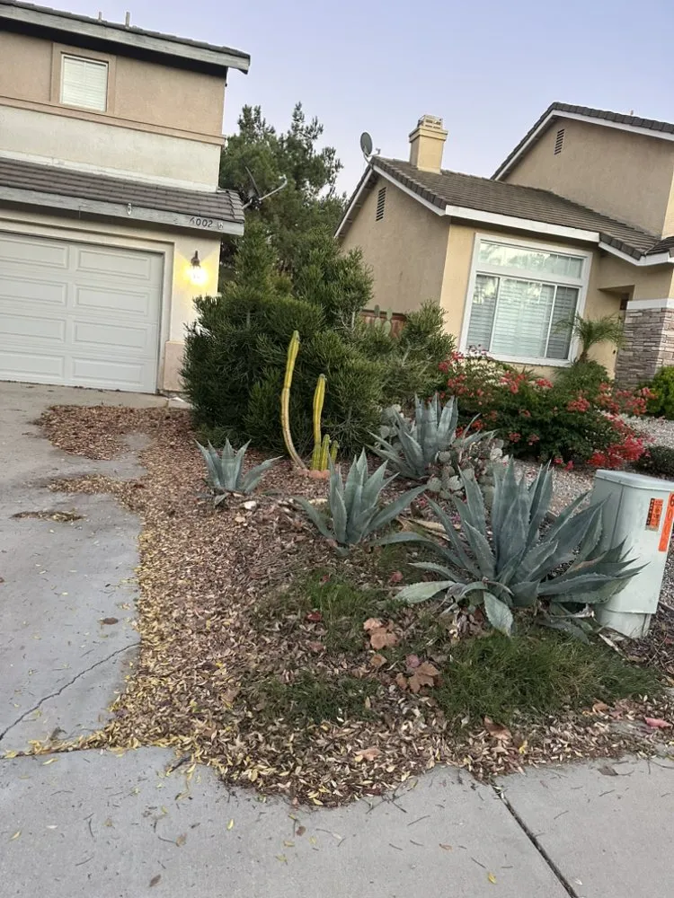 Top-rated lawn mowing service experts serving Riverside, CA - Matthew Tree Service