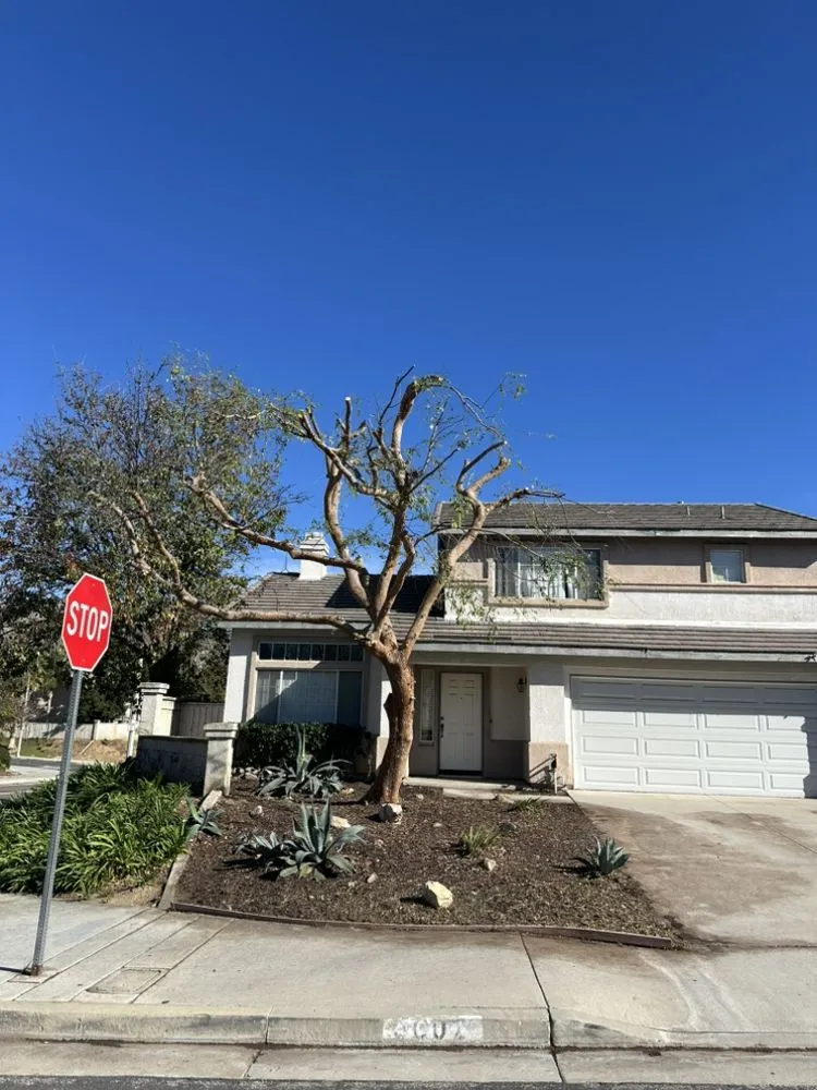 Reliable landscaping services experts serving Riverside, CA - Matthew Tree Service