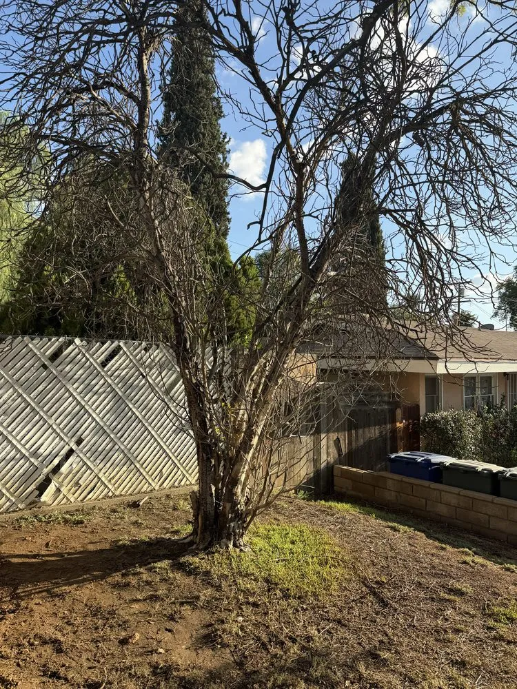 Reliable landscape design experts serving Riverside, CA - Matthew Tree Service