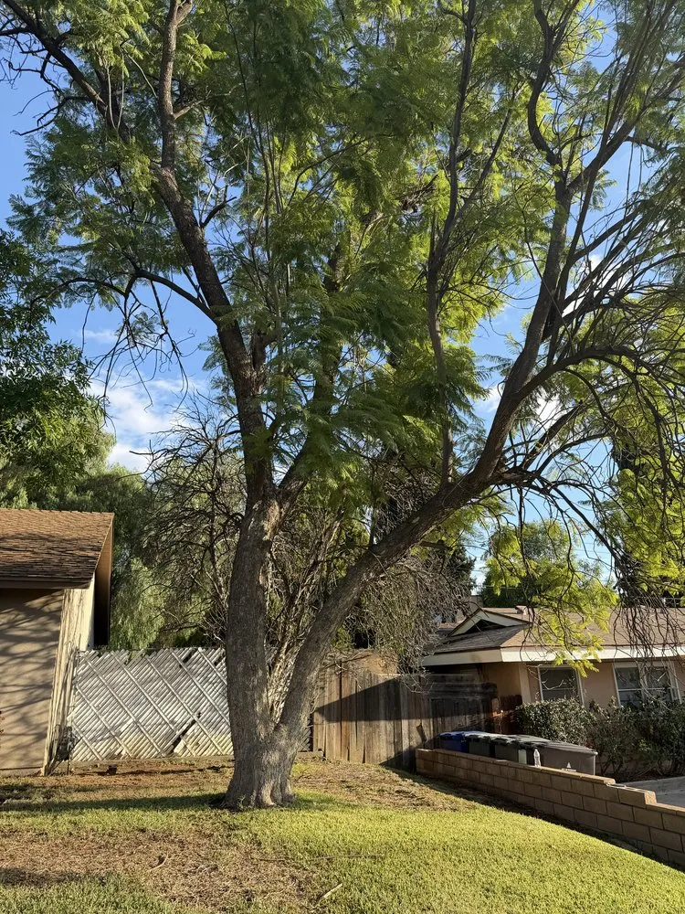 Expert garden landscaping for year-round maintenance in Riverside, CA by Matthew Tree Service