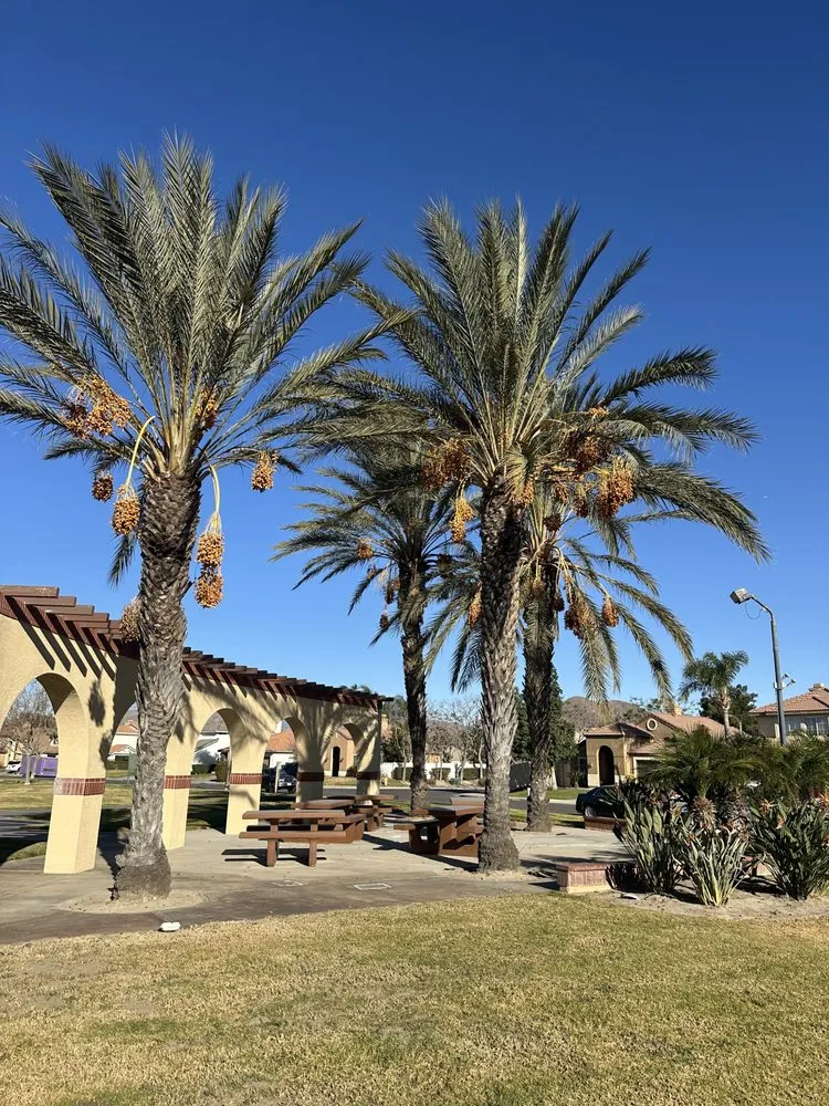 Custom garden landscaping in Riverside, CA by Matthew Tree Service