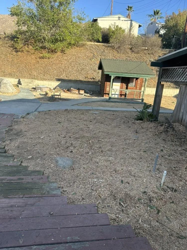 Reliable yard cleanup service in Riverside, CA - Matthew Tree Service