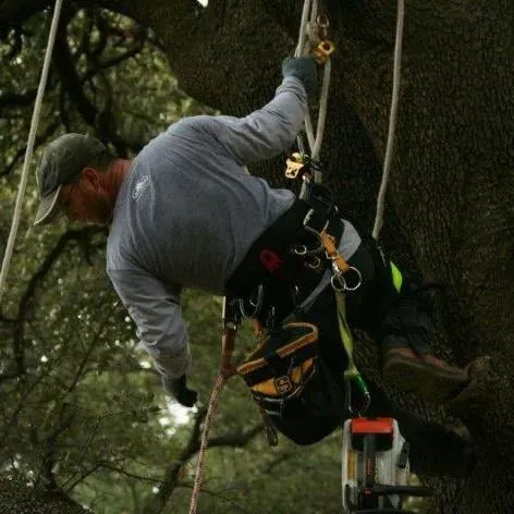 Affordable outdoor landscaping experts serving Abilene, TX - Matthews Landscape & Construction