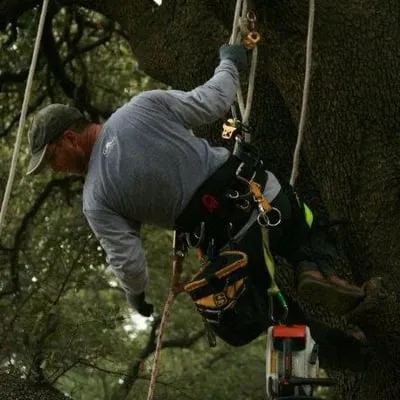 Matthews Landscape & Construction Logo