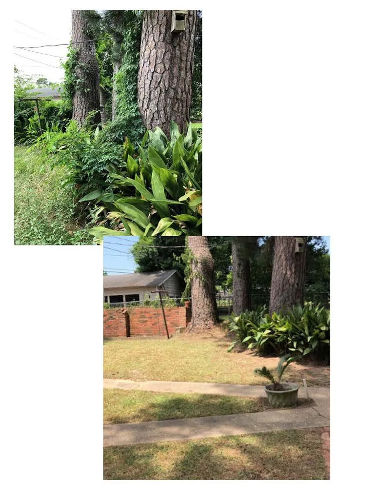 Trusted outdoor landscaping in Shreveport, LA - Matthews Landscape & Pest