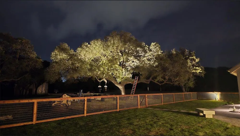 Expert residential landscaping for homes across Schertz, TX - Matthew's Landscapes