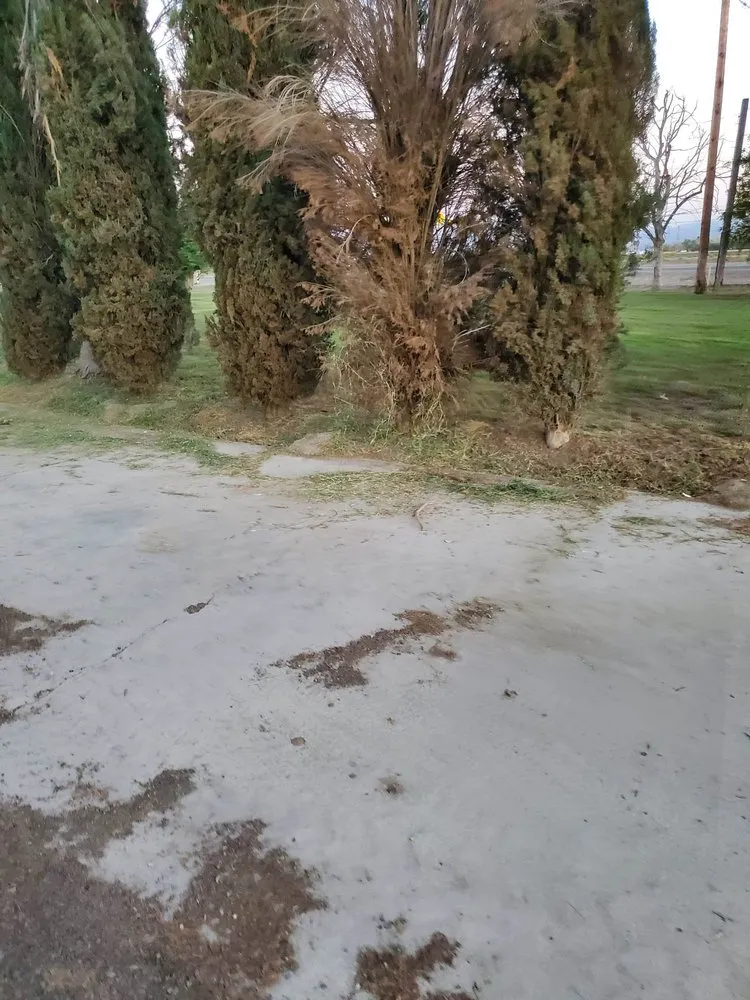 Top-rated lawn mowing service experts serving Hemet, CA - Matthew's Maintenance