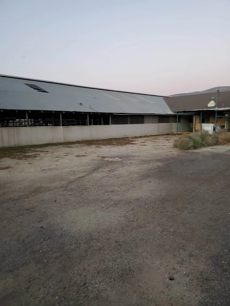 Reliable residential landscaping for beautiful yards in Hemet, CA by Matthew's Maintenance