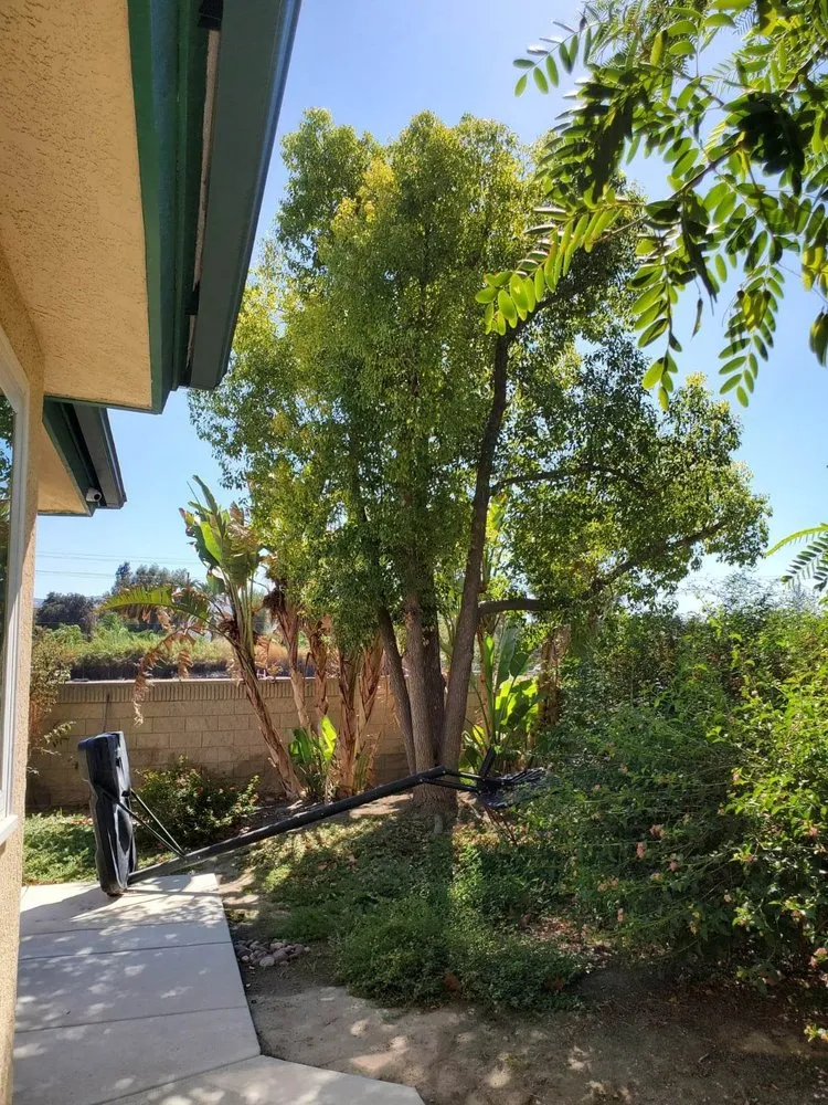 Top-rated garden landscaping with custom design in Hemet, CA by Matthew's Maintenance