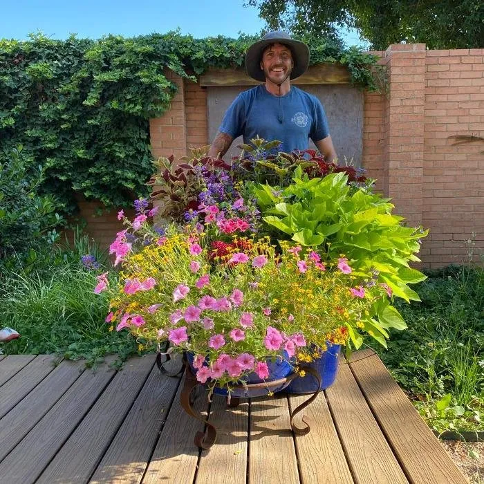 Reliable residential landscaping for homes in Lubbock, TX by Matthew's Plants & Landscapes